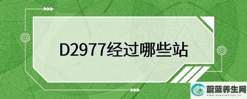 D2977经过哪些站